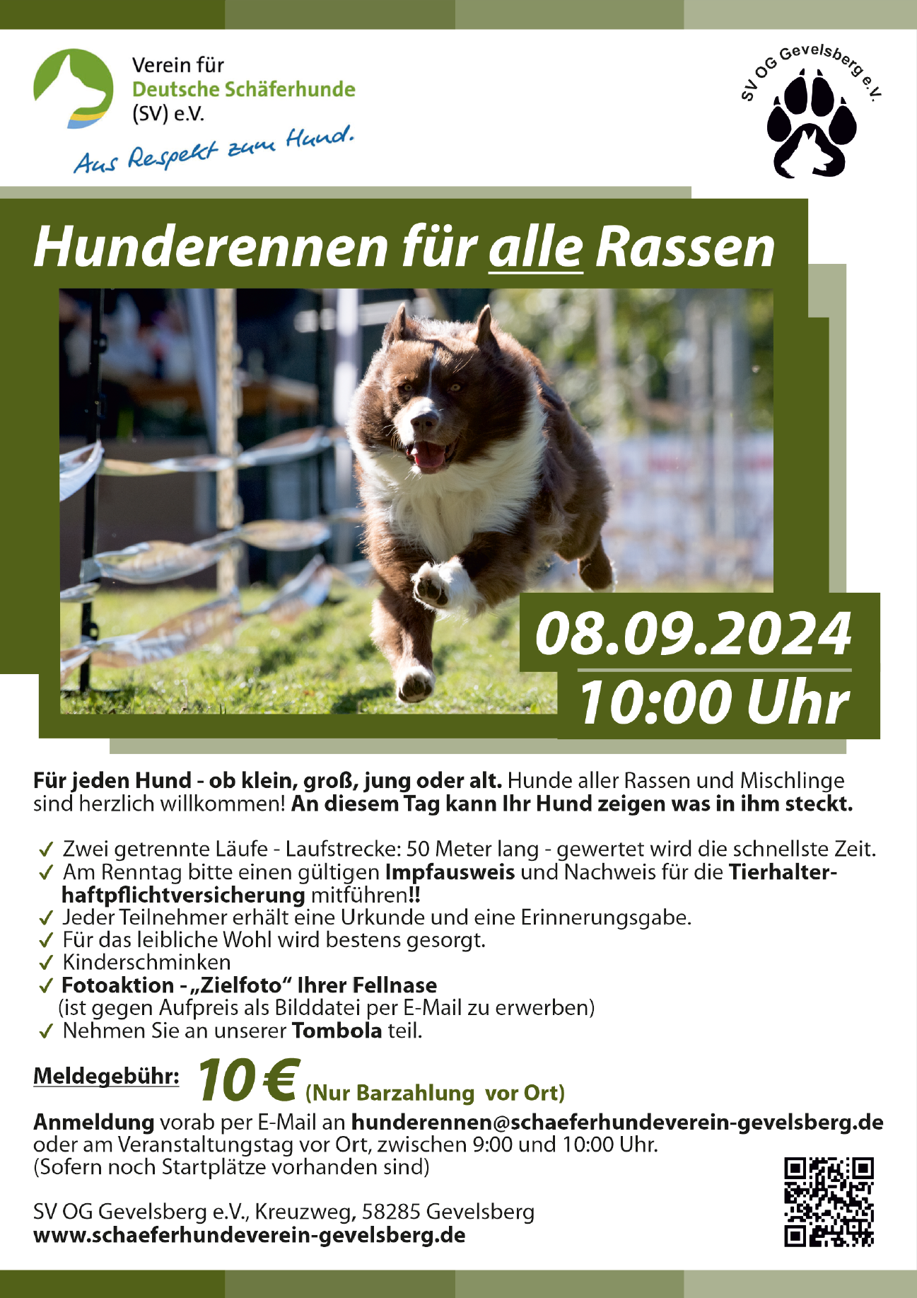 Plakat Hunderennen